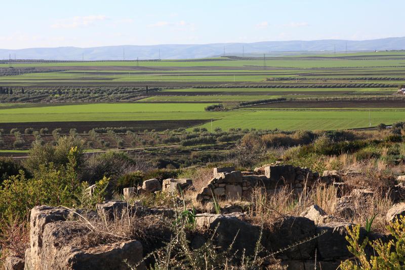 119-Volubilis,29 dicembre 2013.JPG